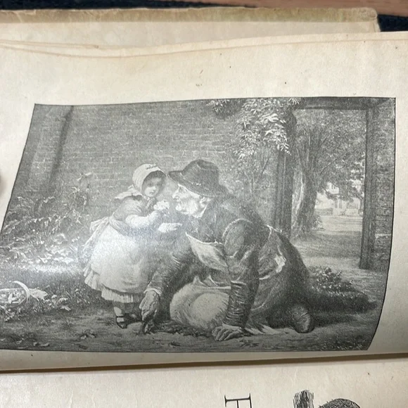 First Edition (1898) “Plant Babies and Their Cradles”, Educational Pub. Co. - Picture 6 of 15